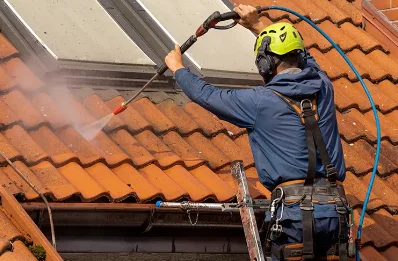Démoussage et hydrofuge de toiture à Rocher